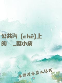 公共汽車(chē)上的輪桿