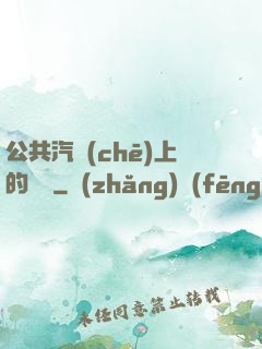 公共汽車(chē)上的輪桿