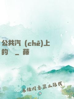 公共汽車(chē)上的輪桿