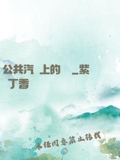 公共汽車上的輪桿