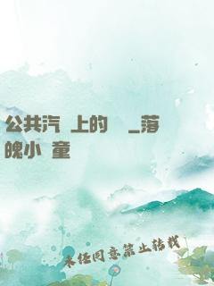 公共汽車上的輪桿
