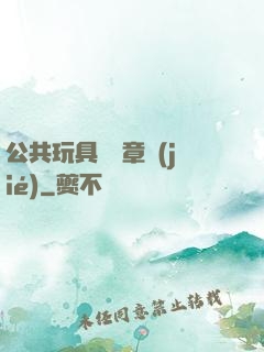 公共玩具閱讀章節(jié)
