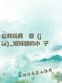 公共玩具閱讀章節(jié)