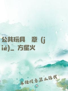 公共玩具閱讀章節(jié)