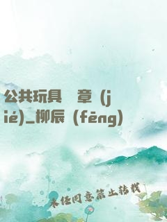 公共玩具閱讀章節(jié)