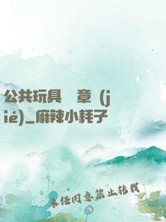 公共玩具閱讀章節(jié)