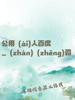公用愛(ài)人百度