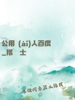 公用愛(ài)人百度