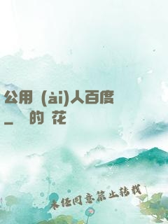公用愛(ài)人百度