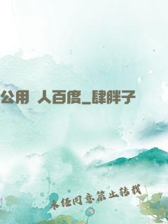 公用愛人百度