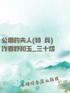 公用的夫人(特種兵)作者野和玉
