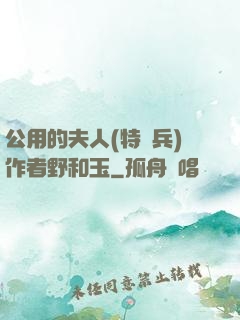 公用的夫人(特種兵)作者野和玉