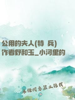 公用的夫人(特種兵)作者野和玉