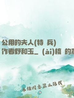 公用的夫人(特種兵)作者野和玉