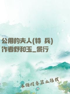 公用的夫人(特種兵)作者野和玉
