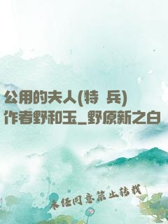 公用的夫人(特種兵)作者野和玉