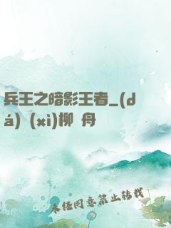 兵王之暗影王者
