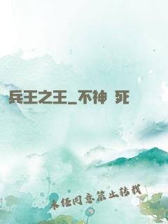 兵王之王