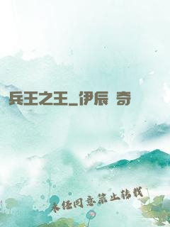 兵王之王