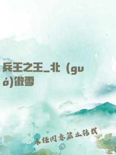 兵王之王