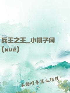 兵王之王