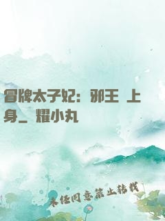 冒牌太子妃：邪王寵上身