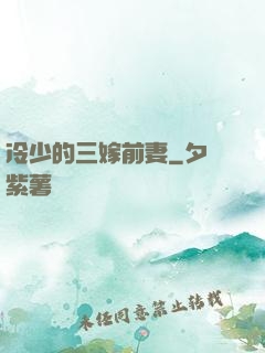 冷少的三嫁前妻