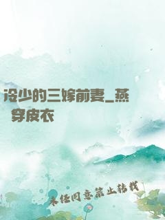 冷少的三嫁前妻