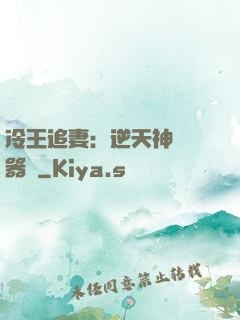 冷王追妻：逆天神級煉器師
