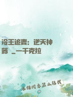 冷王追妻：逆天神級煉器師