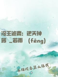 冷王追妻：逆天神級煉器師