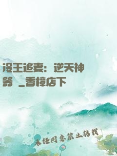 冷王追妻：逆天神級煉器師