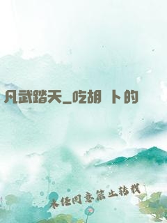 凡武踏天