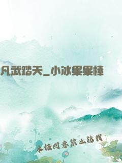 凡武踏天