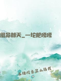 凰命朝天