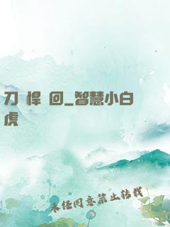刀劍悍輪回