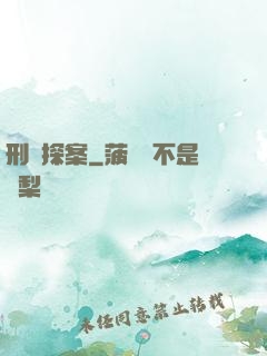 刑偵探案