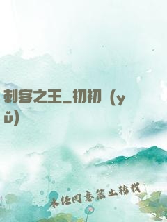 刺客之王