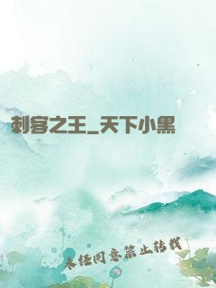 刺客之王