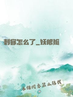 刺客怎么了