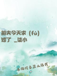 前夫今天求復(fù)婚了嗎