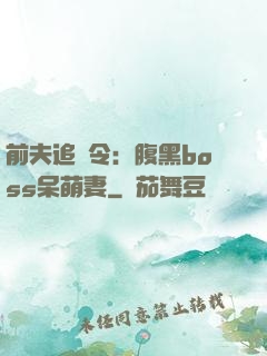 前夫追緝令：腹黑boss呆萌妻