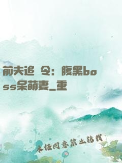 前夫追緝令：腹黑boss呆萌妻