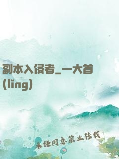 副本入侵者