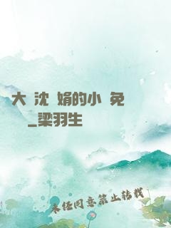劉大壯沈麗娟的小說免費閱讀