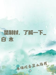 劍圣制杖，了解一下