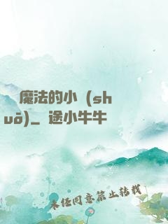 劍與魔法的小說(shuō)
