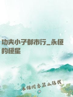 功夫小子都市行