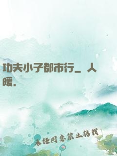 功夫小子都市行