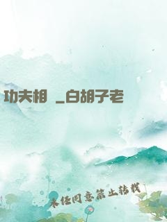 功夫相師